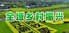 全域鄉(xiāng)村振興